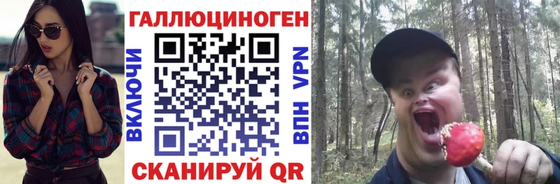 darknet формула  Ачхой-Мартан  Псилоцибиновые грибы мухоморы 