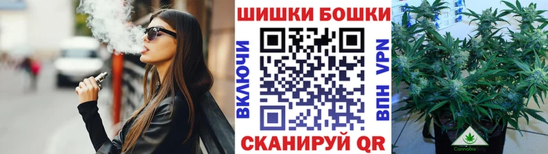 купить закладку  Ачхой-Мартан  Бошки Шишки тримм 